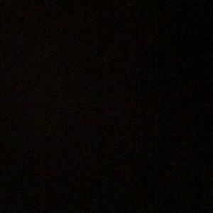 Meet your Posher, Cody